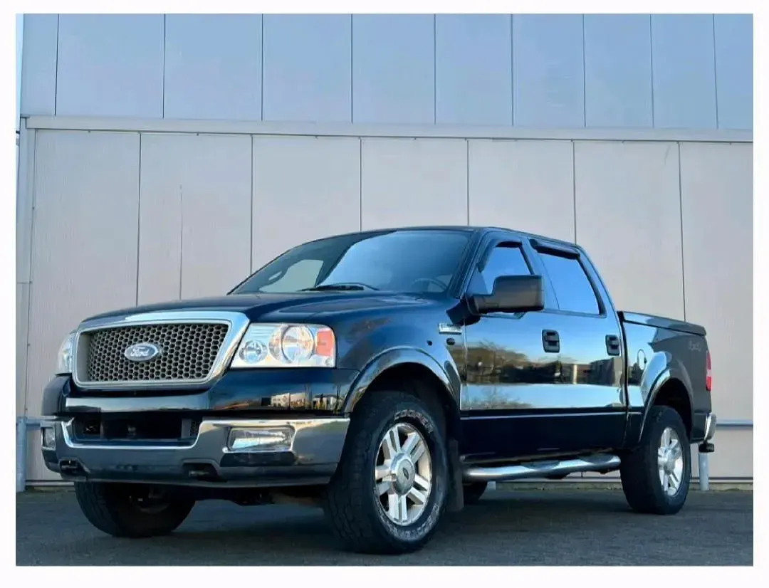 Gebraucht Ford F-150 300 PS (220 kW) 2004 Schwarz Pickup