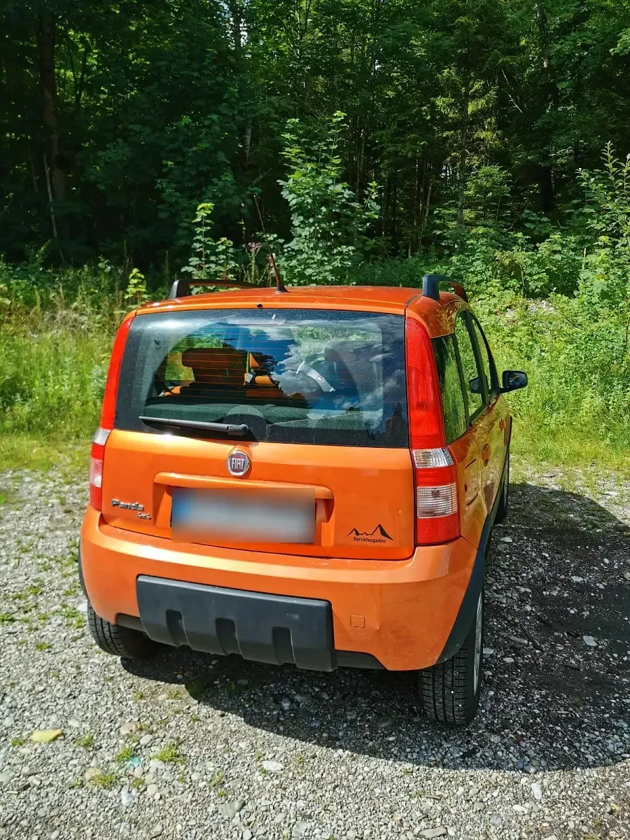 Gebraucht Fiat Panda 75 PS (55 kW) 2009 Orange Kleinwagen