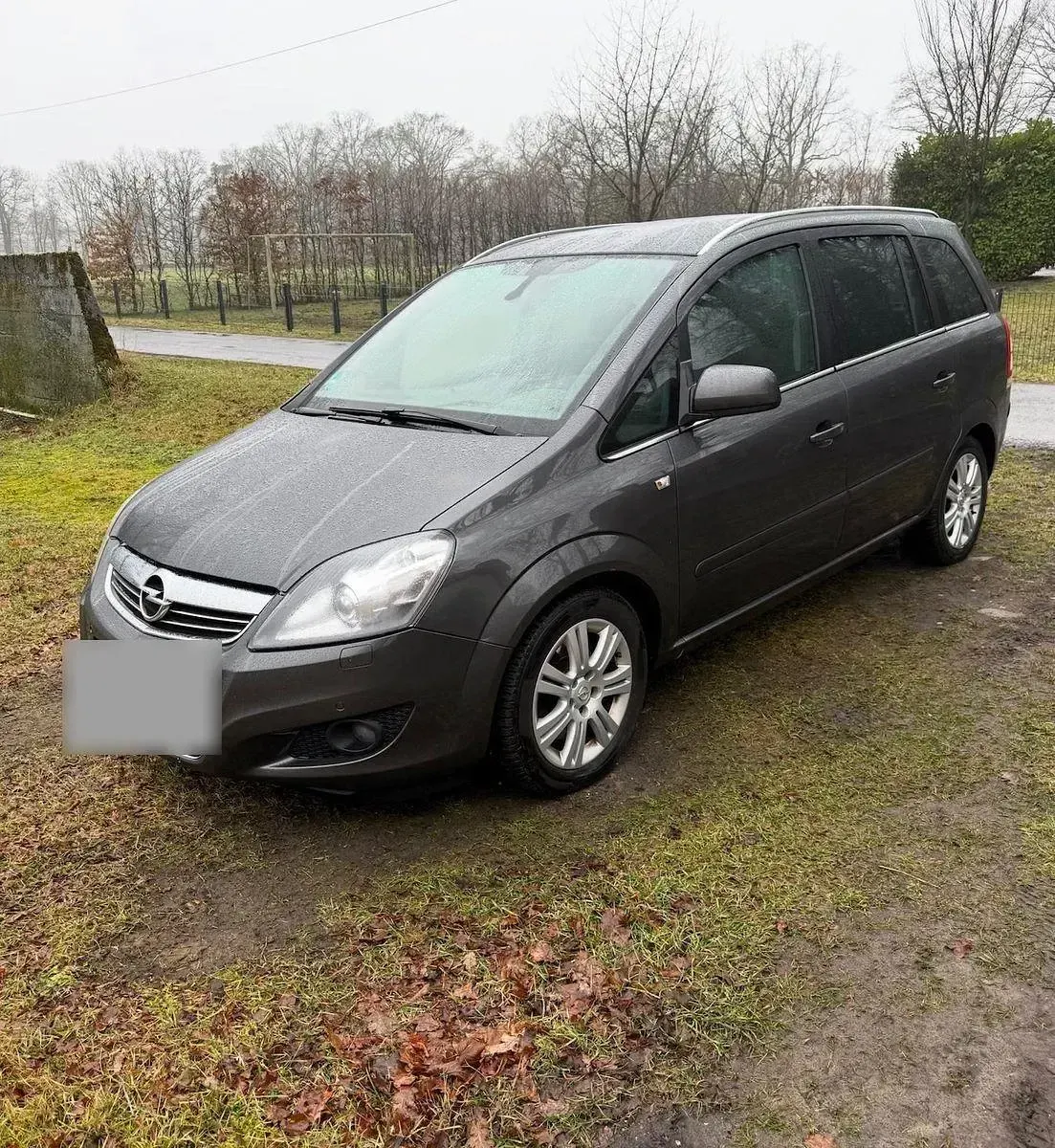 Gebraucht Opel Zafira Family 125 PS (91 kW) 2011 Grau Van / Kleinbus
