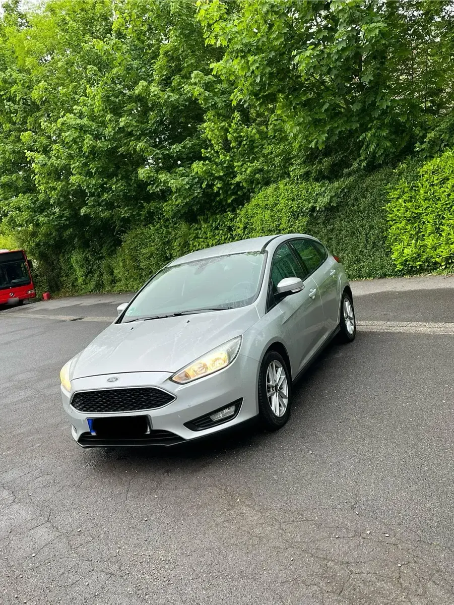 Usata Ford Focus Titanium 125 CV (91 kW) 2015 Argento Utilitaria
