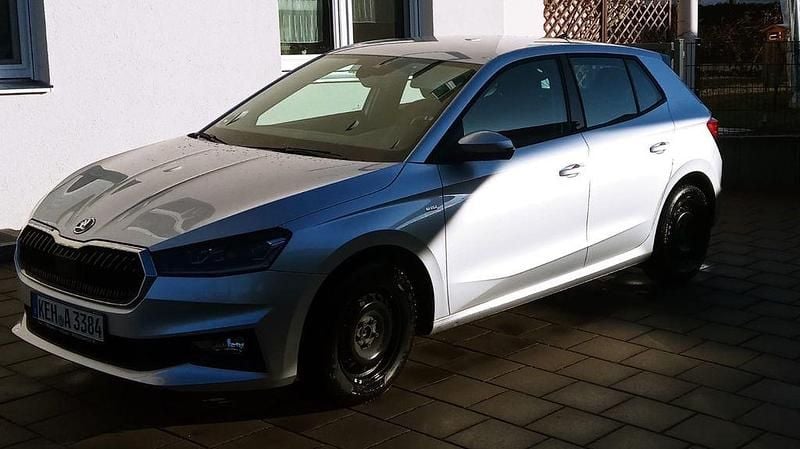 Gebraucht Skoda Fabia Tour 95 PS (69 kW) 2022 Silber Kleinwagen