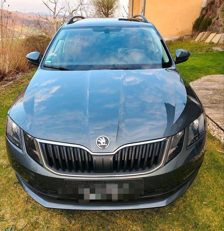 Gebraucht Skoda Octavia Style 150 PS (110 kW) 2019 Grau Kombi