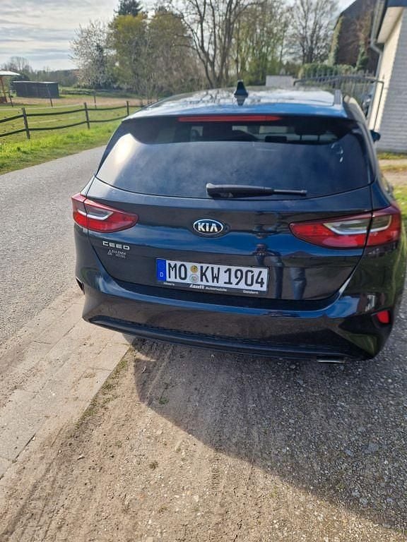 Gebraucht Kia Ceed Edition 7 99 PS (72 kW) 2019 Schwarz Kleinwagen