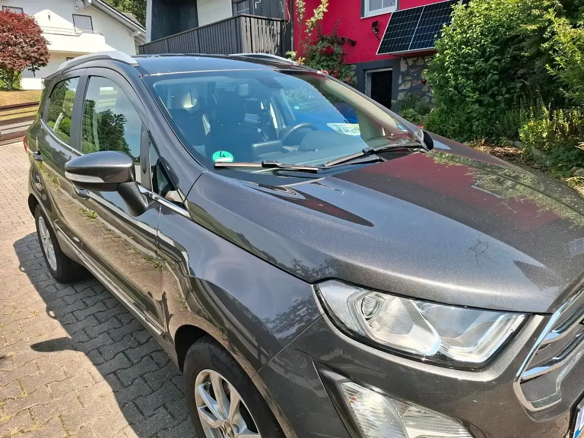 Gebraucht Ford Focus Sport 125 PS (91 kW) 2018 Grün SUV