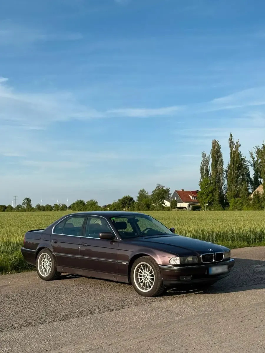 Gebraucht BMW 730 218 PS (160 kW) 1994 Violet Limousine