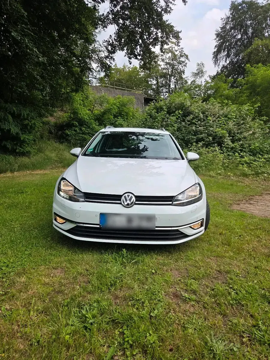 Gebraucht VW Golf VII 116 PS (85 kW) 2018 Weiß Kombi