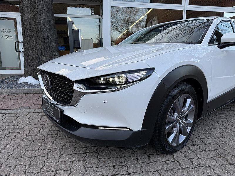 Gebraucht Mazda CX-30 Exclusive 140 PS (102 kW) 2024 Weiß SUV