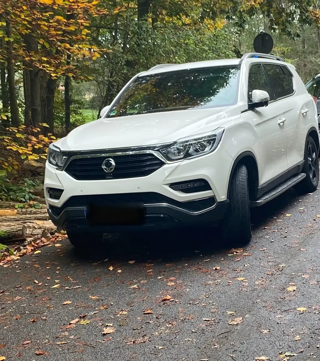 Gebraucht SsangYong Rexton 188 PS (138 kW) 2018 Weiß SUV