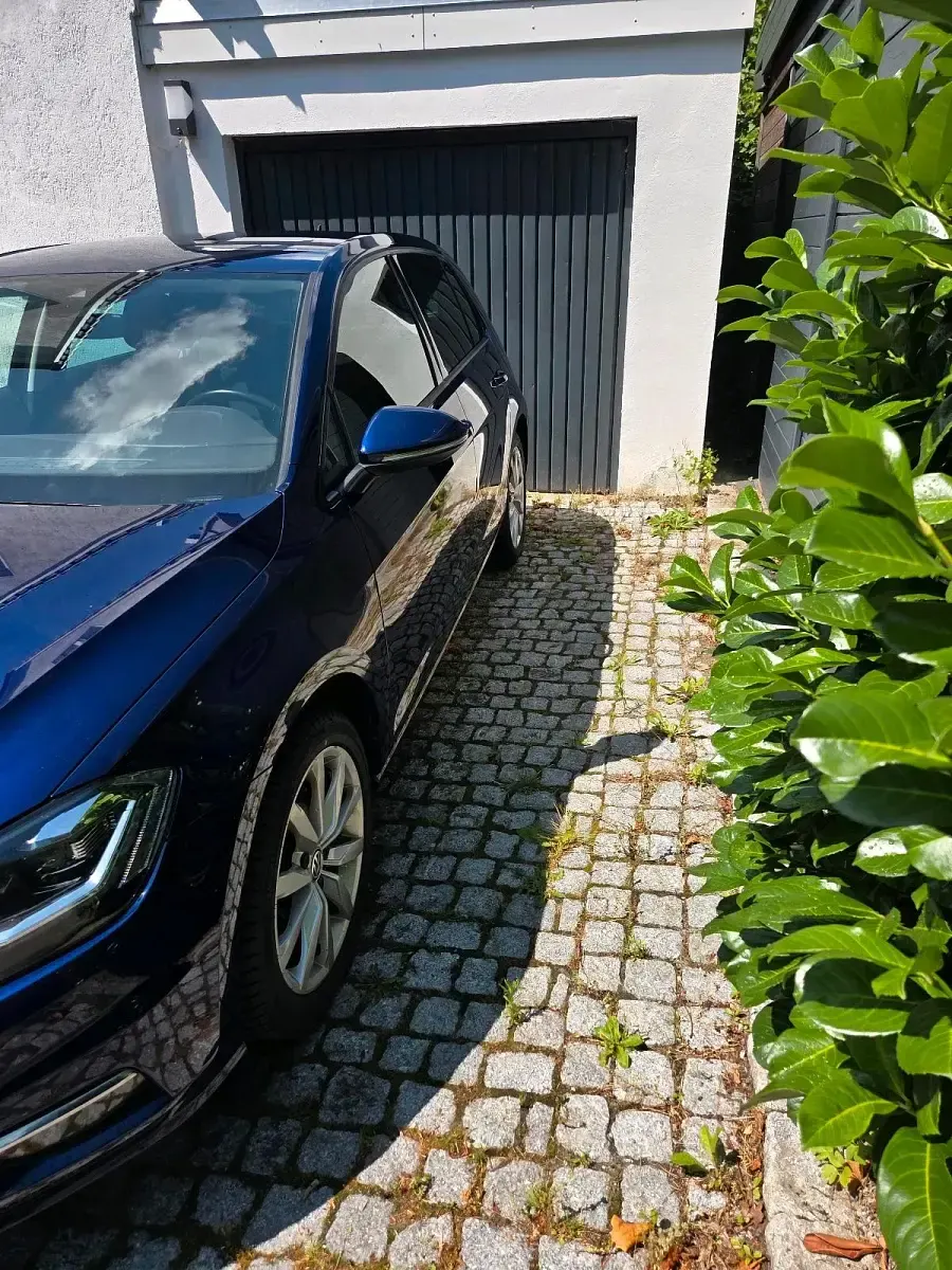 Gebraucht VW Golf VII Highline 150 PS (110 kW) 2017 Andere farben Kleinwagen