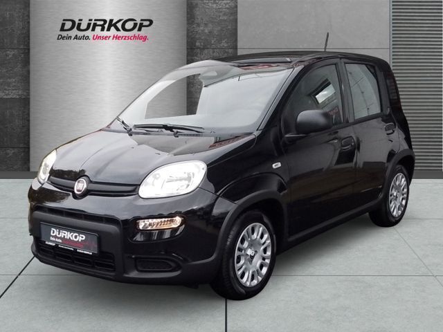 Schwarz Neu 2024 Fiat Panda Kleinwagen | 13.990 € - Bild 1/4