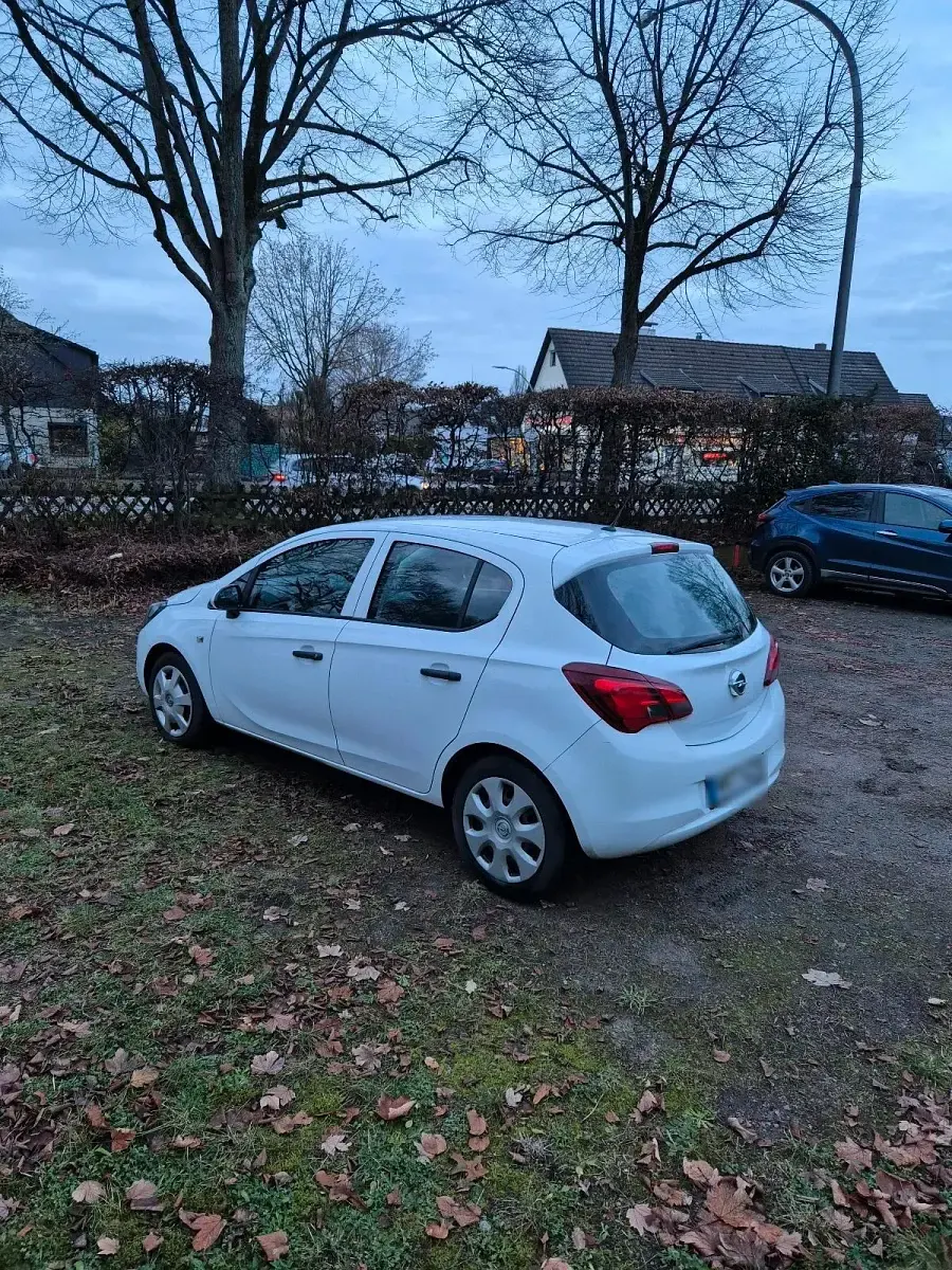 Gebraucht Opel Corsa 69 PS (50 kW) 2016 Weiß Kleinwagen