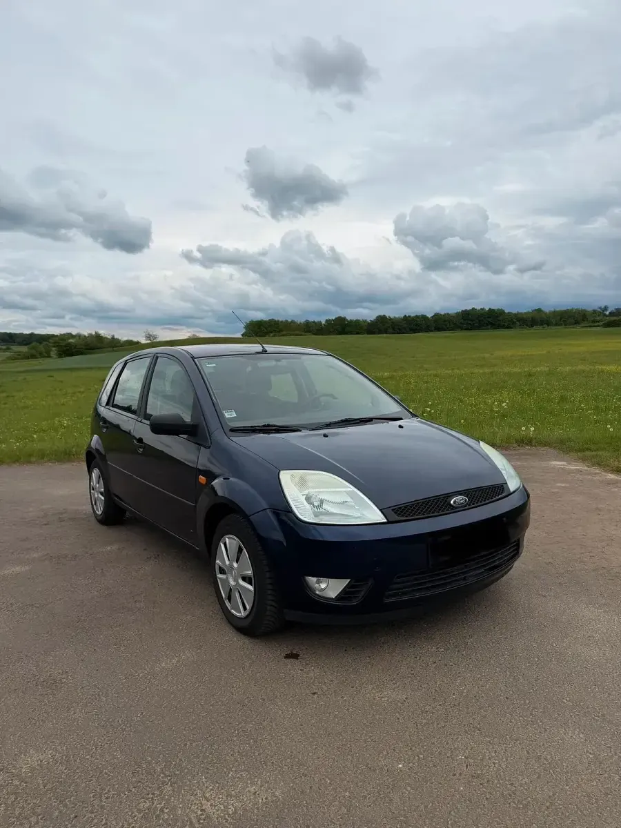 Usata Ford Fiesta 80 CV (58 kW) 2002 Blu Utilitaria