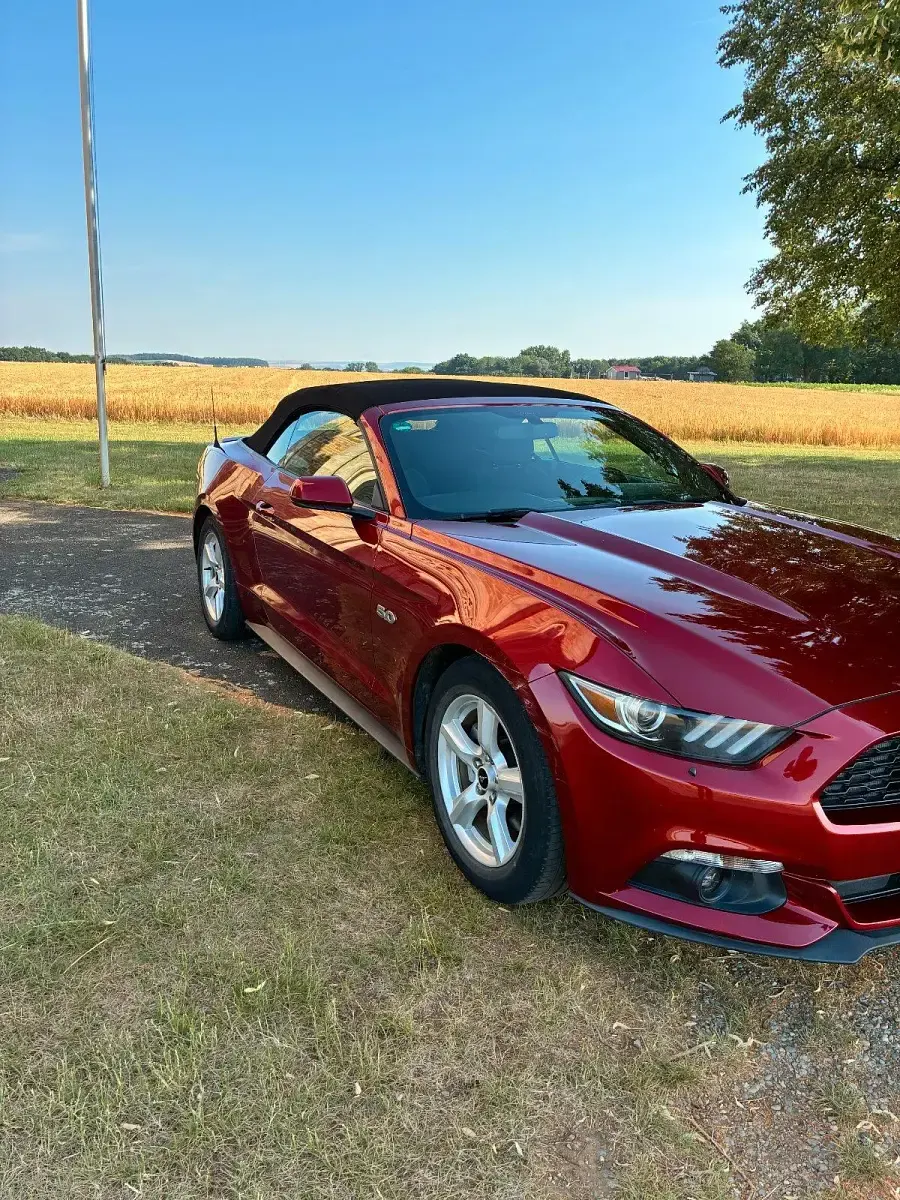 Gebraucht Ford Mustang Convertible 305 PS (224 kW) 2015 Rot Cabrio