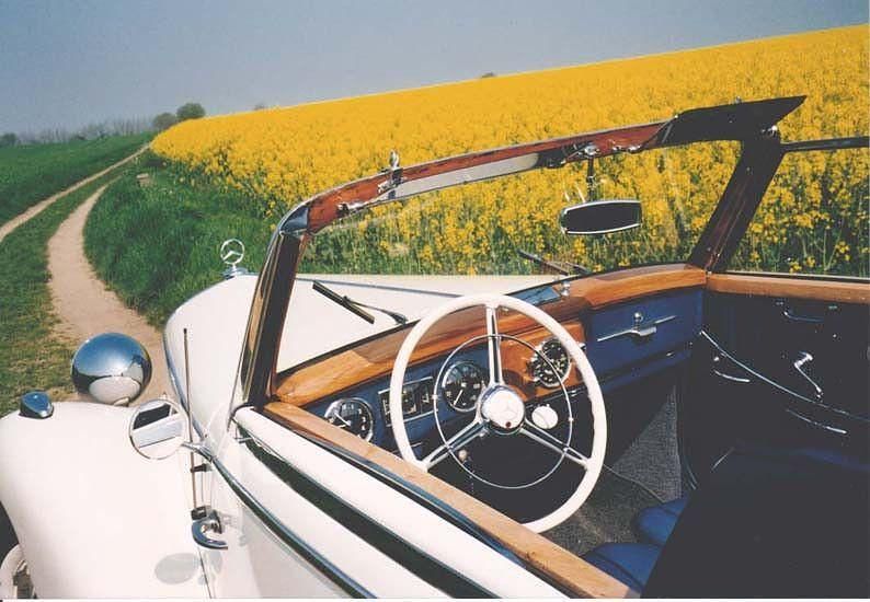 Gebraucht Mercedes 170 52 PS (38 kW) 1952 Weiß Cabrio