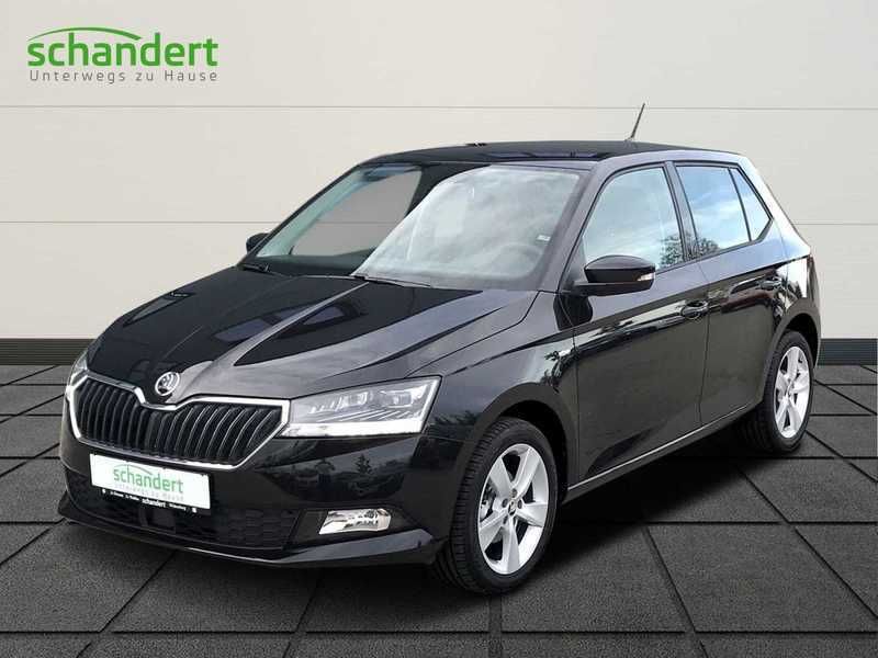 Gebraucht 2019 Skoda Fabia 1 0 Benzin 95 Ps 18 590 06847