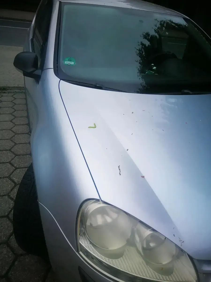 Gebraucht VW Golf V 2003 Silber Kleinwagen