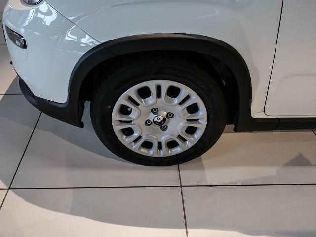 Neu Fiat Panda 69 PS (50 kW) 2025 Kleinwagen