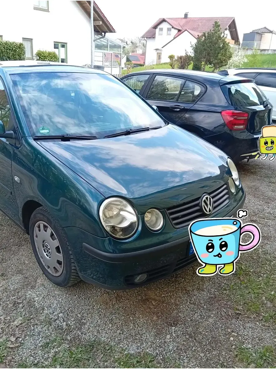 Gebraucht VW Polo 75 PS (55 kW) 2003 Grün Kleinwagen