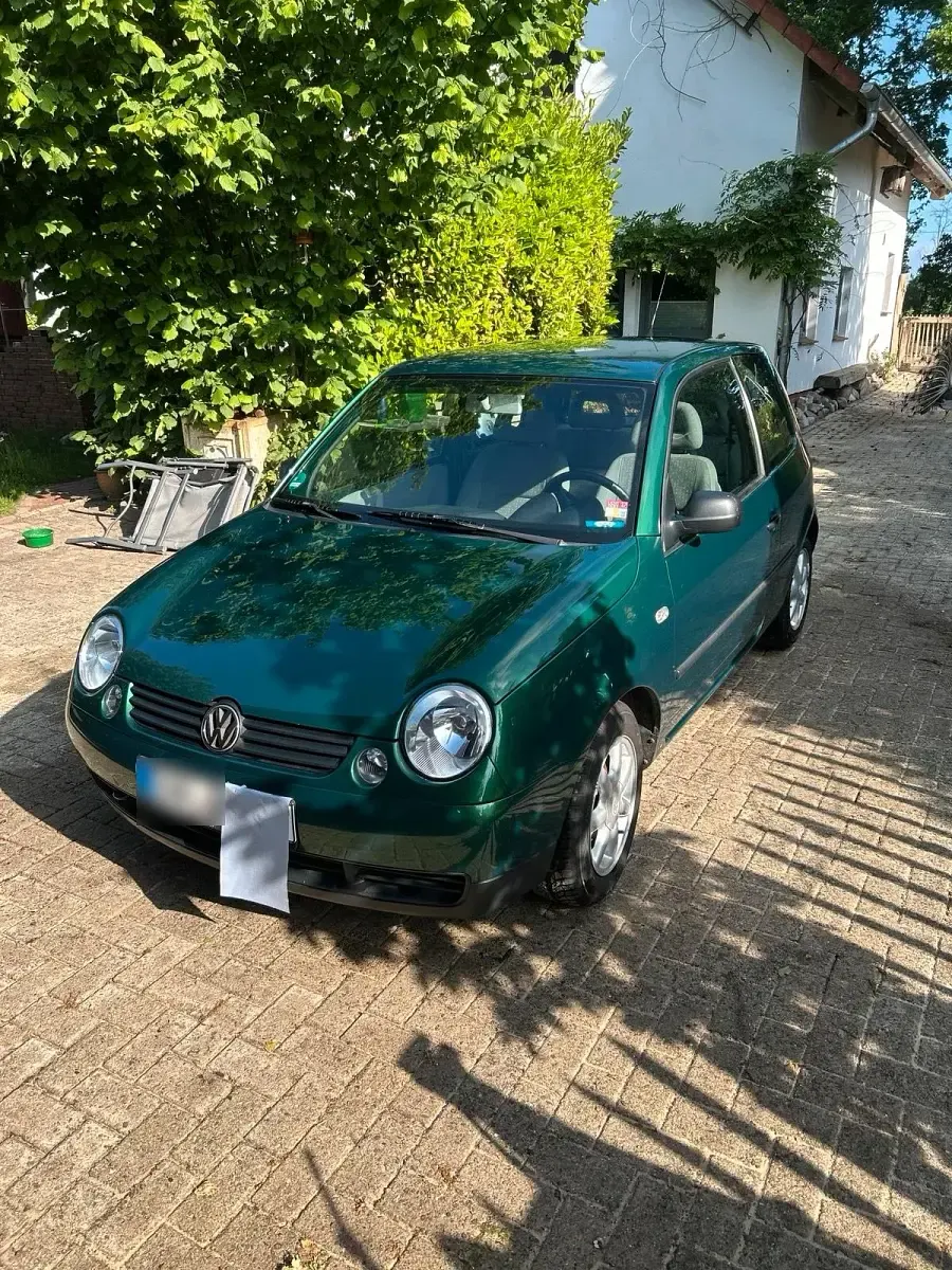 Gebraucht VW Lupo 50 PS (36 kW) 2000 Grün Kleinwagen