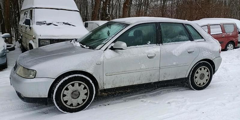 Gebraucht Audi A3 101 PS (74 kW) 2002 Silber Kombi