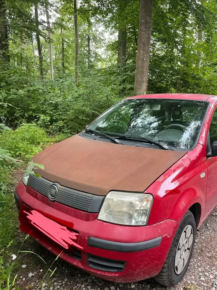 Gebraucht Fiat Panda 54 PS (39 kW) 2009 Rot Kleinwagen