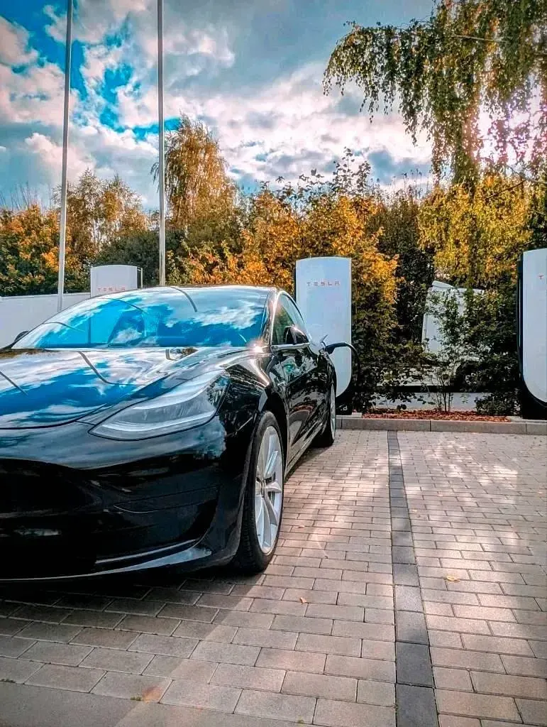 Gebraucht Tesla Model 3 Standard Range Plus 239 kW (325 PS) 2019 Schwarz Limousine