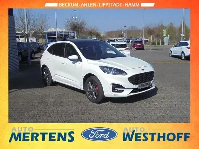 Gebraucht Ford Kuga ST-Line X 224 PS (164 kW) 2022 Weiß SUV