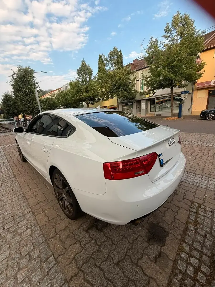 Gebraucht Audi A5 Sportback Sport 170 PS (125 kW) 2013 Weiß Kleinwagen
