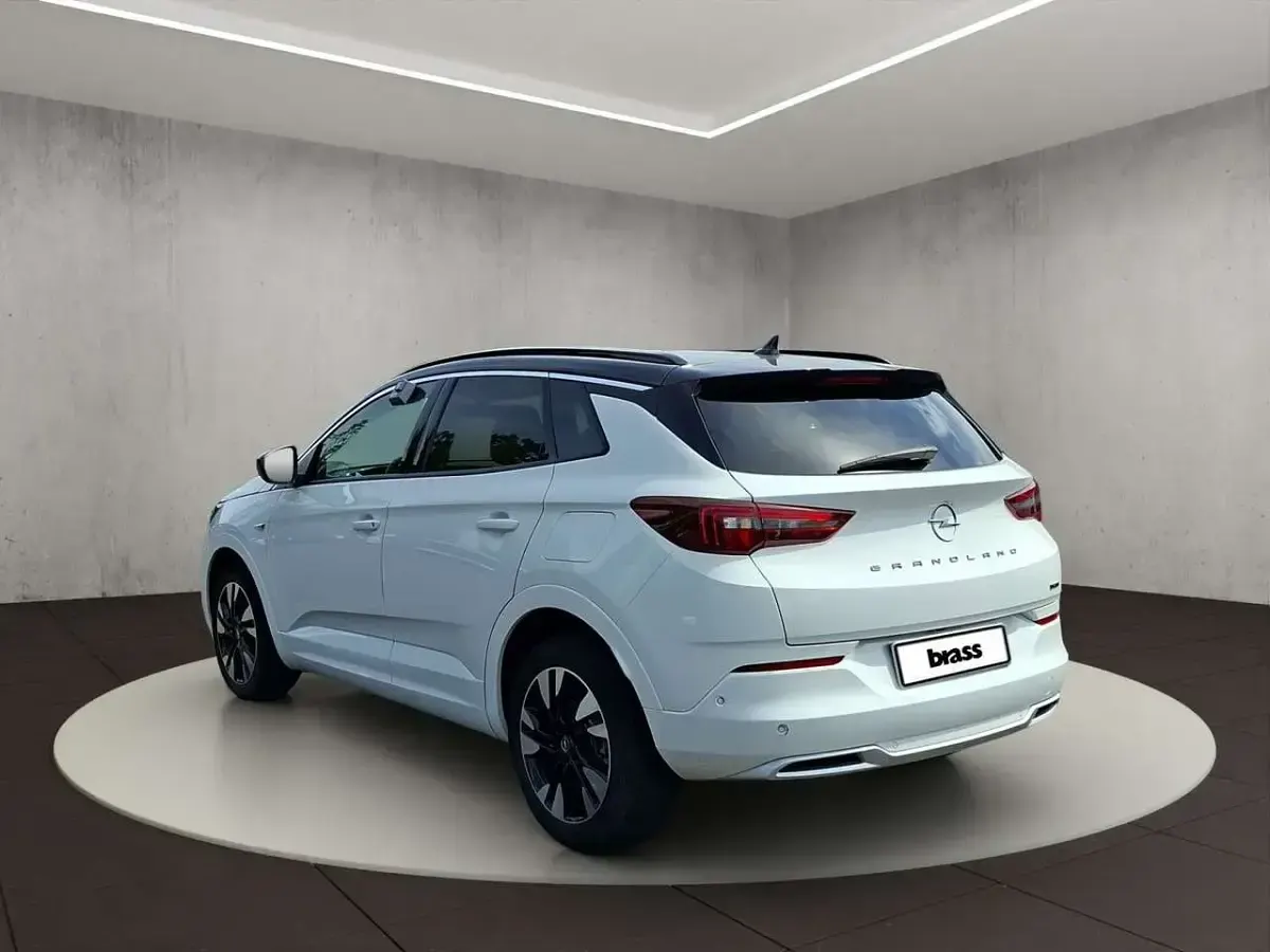 Gebraucht Opel Grandland X Elegance 224 PS (164 kW) 2023 Jade weiß (sl) SUV
