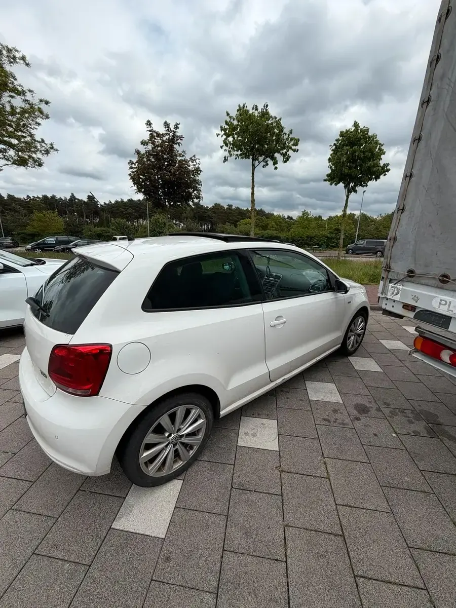 Usata VW Polo 90 CV (66 kW) 2013 Bianco Utilitaria