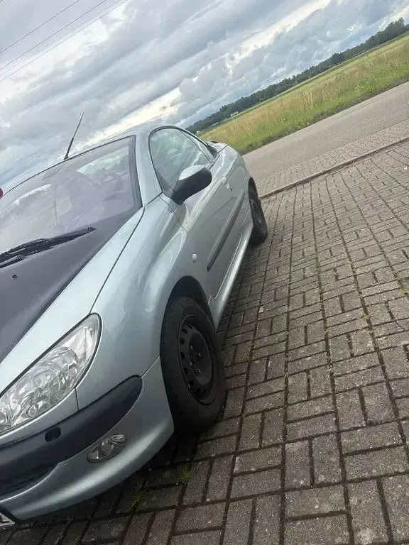 Gebraucht Peugeot 206 CC Platinum 109 PS (80 kW) 2002 Silber Cabrio