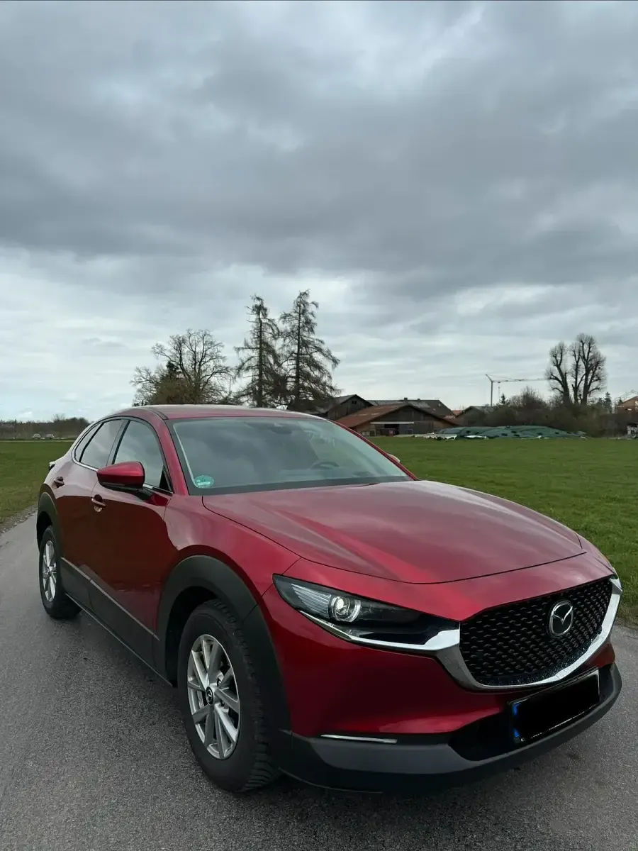 Gebraucht Mazda CX-30 Selection 180 PS (132 kW) 2020 Andere farben SUV