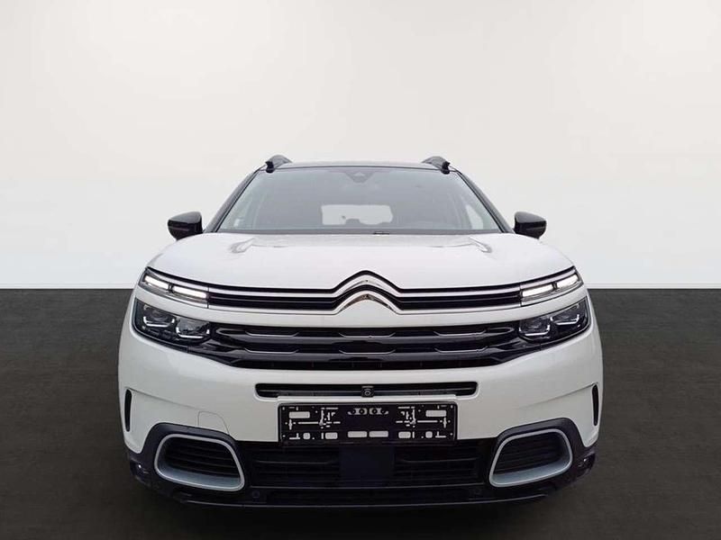 Gebraucht Citroën C5 Aircross Business Class 131 PS (96 kW) 2021 Perlmutt weiß SUV
