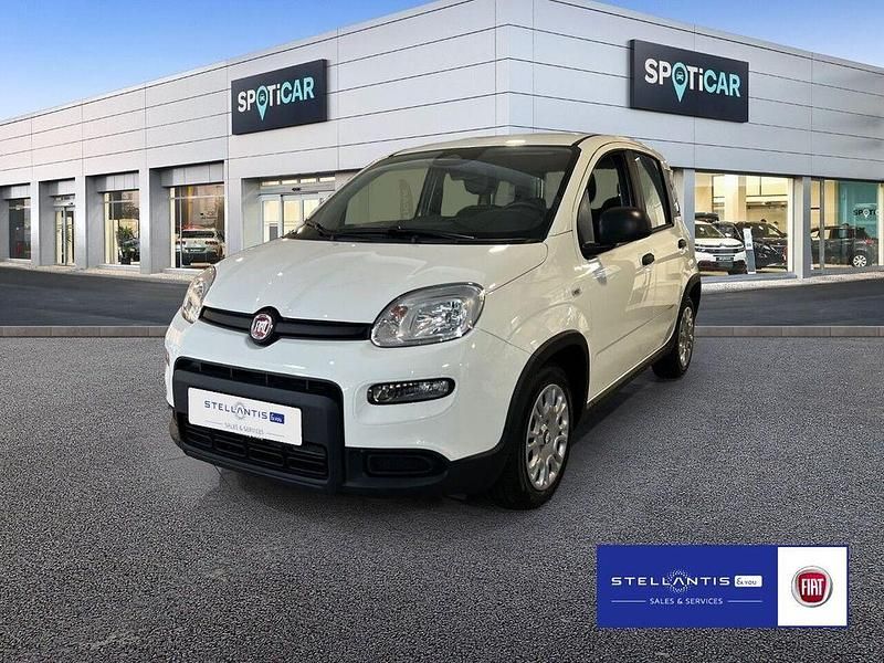 Weiß Neu 2025 Fiat Panda Kleinwagen | 13.990 € (Fairer Preis) - Bild 1/4
