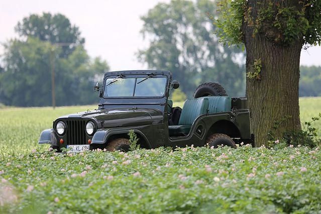 Gebraucht Jeep Willys 102 PS (75 kW) 1965 Grün