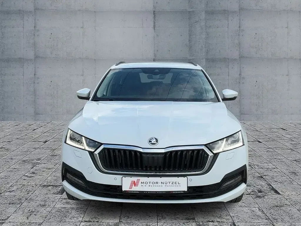 Gebraucht Skoda Octavia Ambition 204 PS (150 kW) 2022 Moonweiß perleffekt Kombi