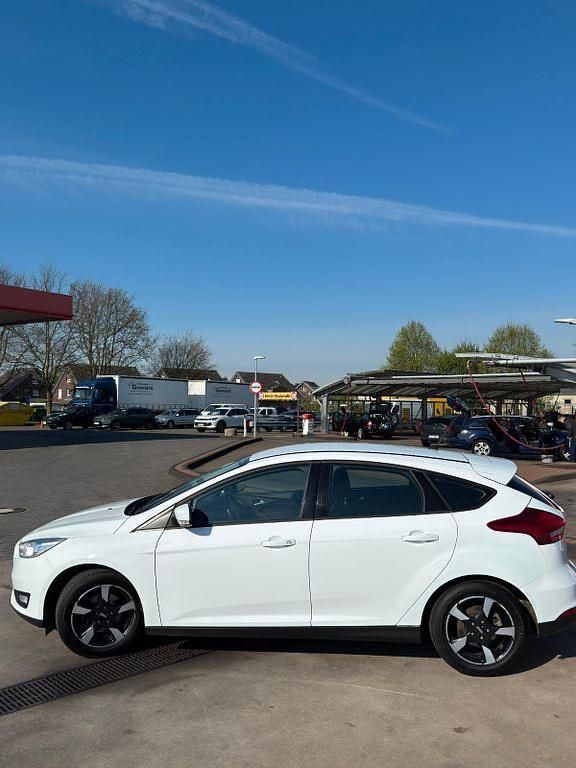 Usata Ford Focus Trend 125 CV (91 kW) 2017 Bianco Berlina