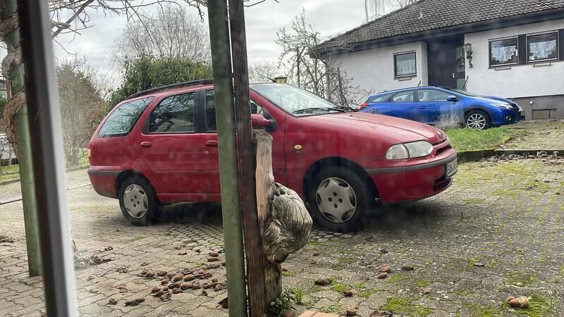 Bild 2/2