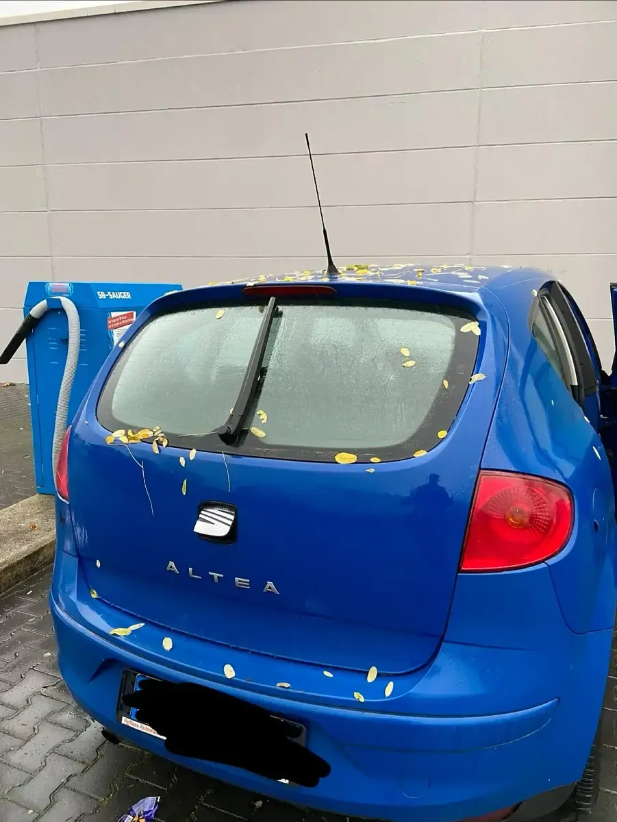 Gebraucht Seat Altea 102 PS (75 kW) 2005 Blau Van / Kleinbus