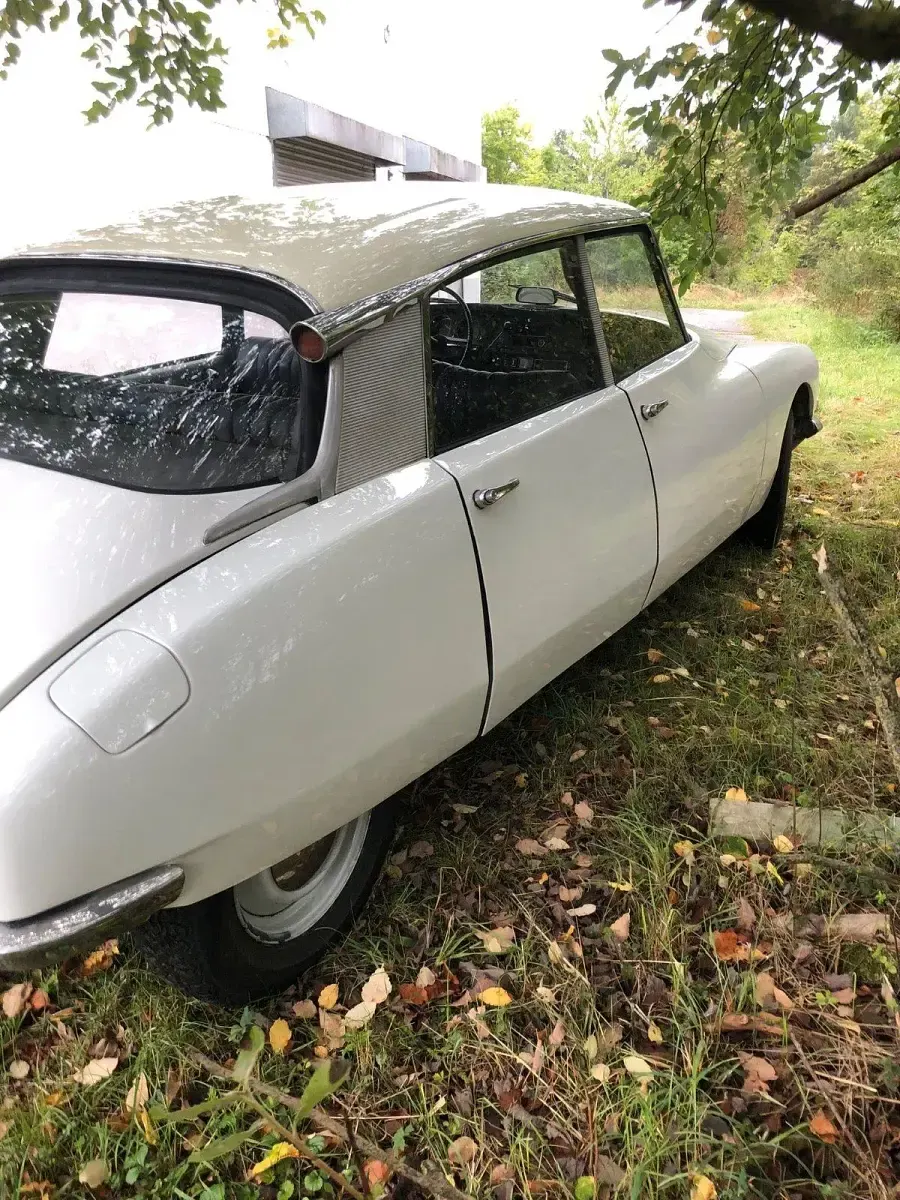 Gebraucht Citroën DS 78 PS (57 kW) 1969 Weiß Limousine