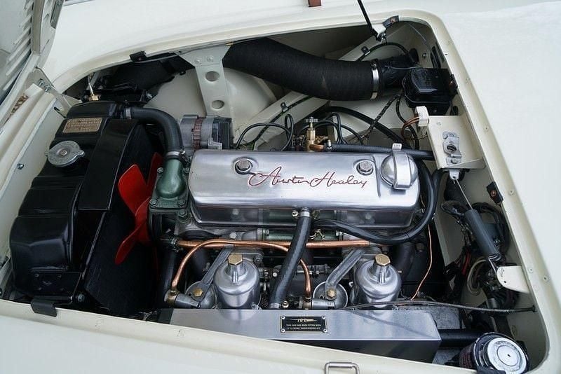 Gebraucht Austin Healey 100 1955 Weiß Cabrio