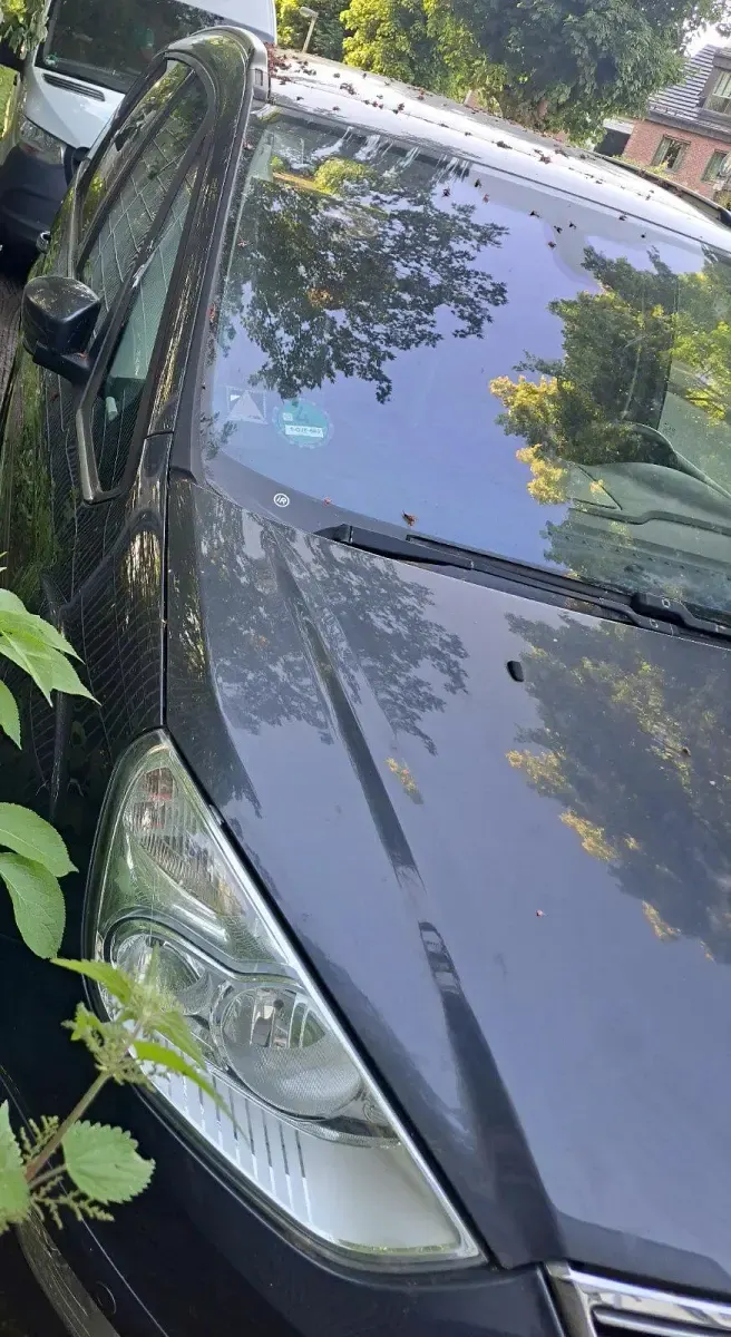 Brugt Ford Galaxy 140 HK (102 kW) 2010 Blå MPV