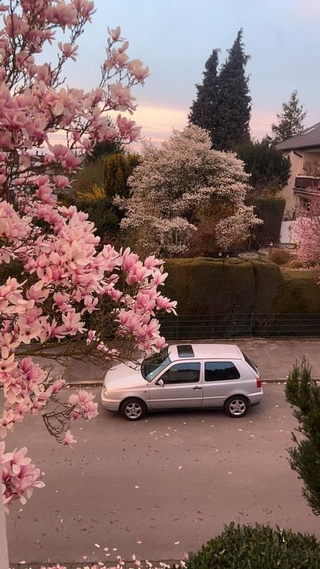 Gebraucht VW Golf III 90 PS (66 kW) 1997 Silber Kombi