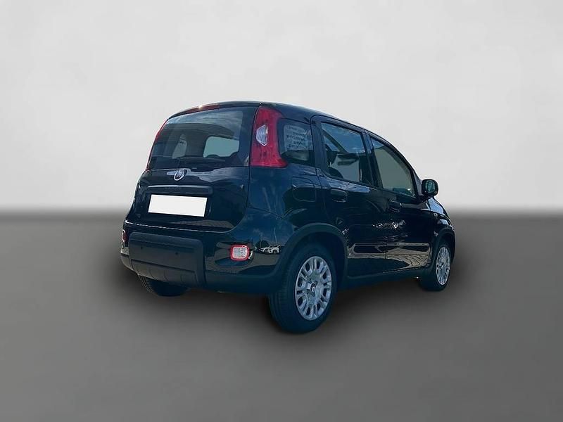 Gebraucht Fiat Panda 69 PS (50 kW) 2025 Schwarz Kleinwagen