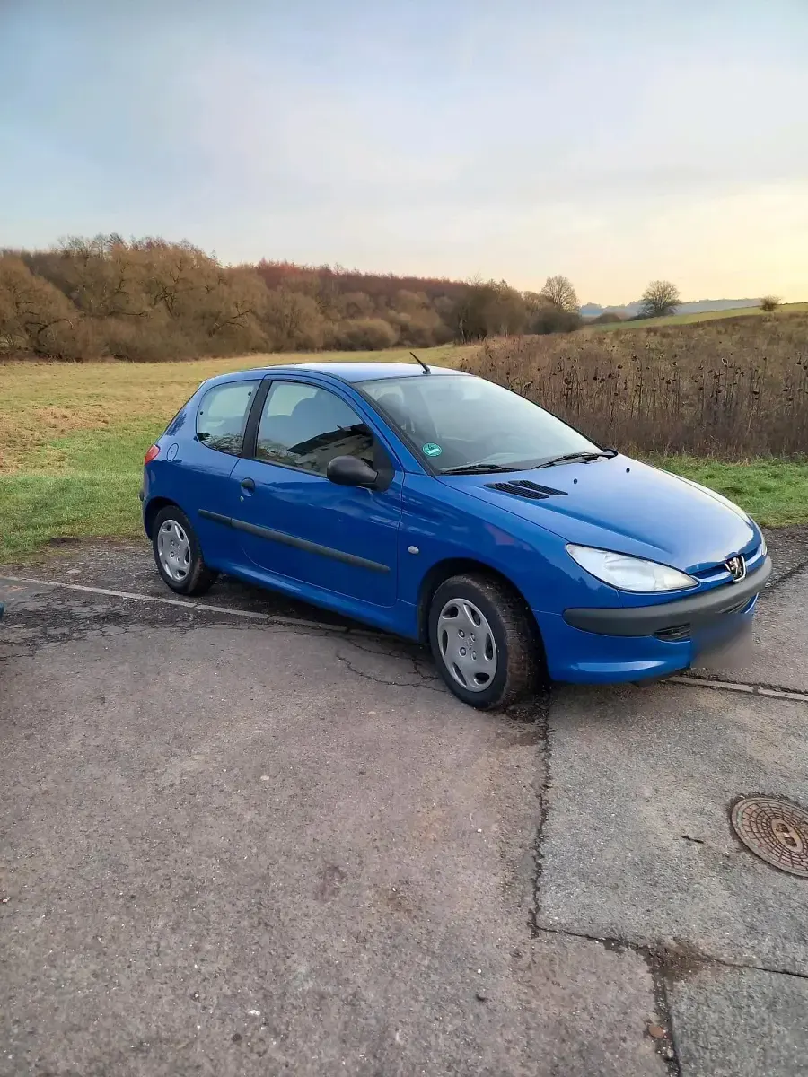 Gebraucht Peugeot 206 75 PS (55 kW) 2000 Blau Kleinwagen