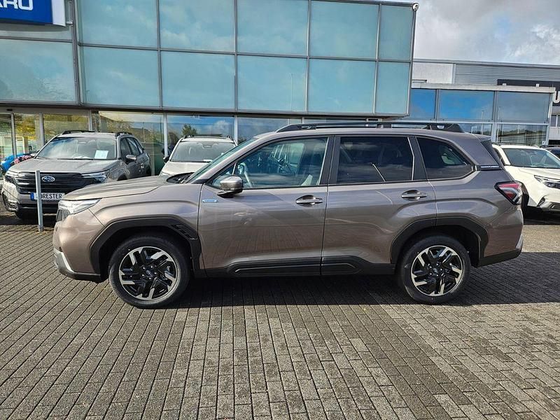 Gebraucht Subaru Forester Active 136 PS (100 kW) 2025 Grau SUV