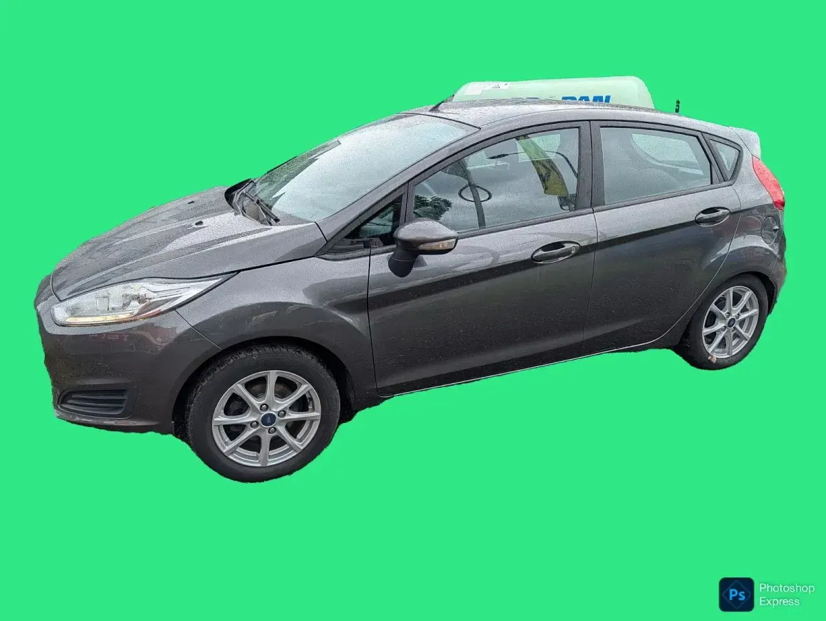 Gebraucht Ford Fiesta Trend 101 PS (74 kW) 2016 Grau Kleinwagen