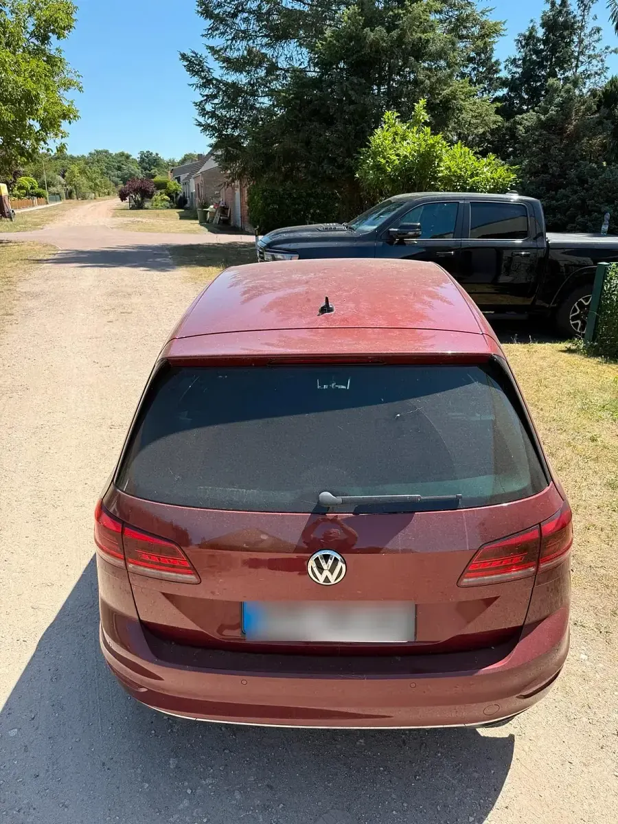Gebraucht VW Golf VII 131 PS (96 kW) 2019 Rot Kleinwagen