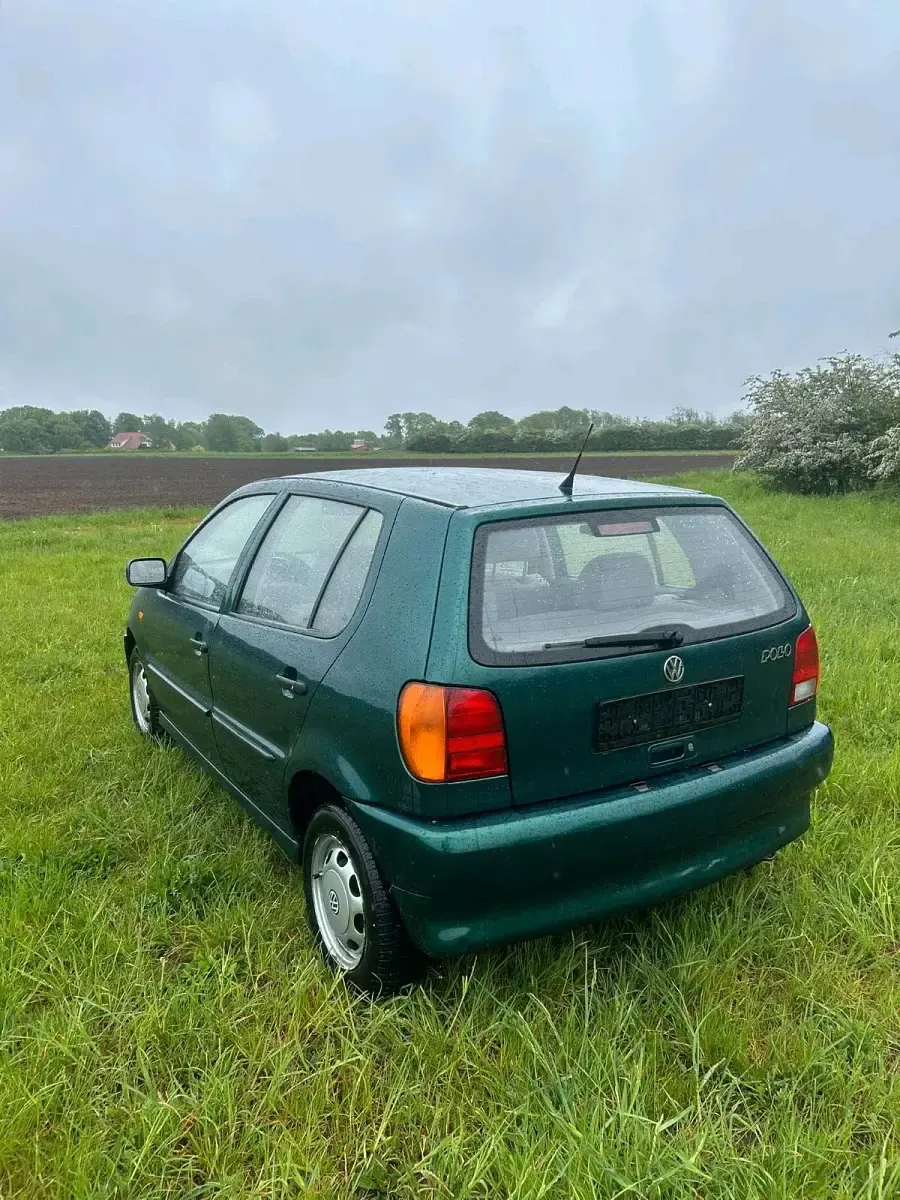 Usata VW Polo 75 CV (55 kW) 1997 Verde Utilitaria