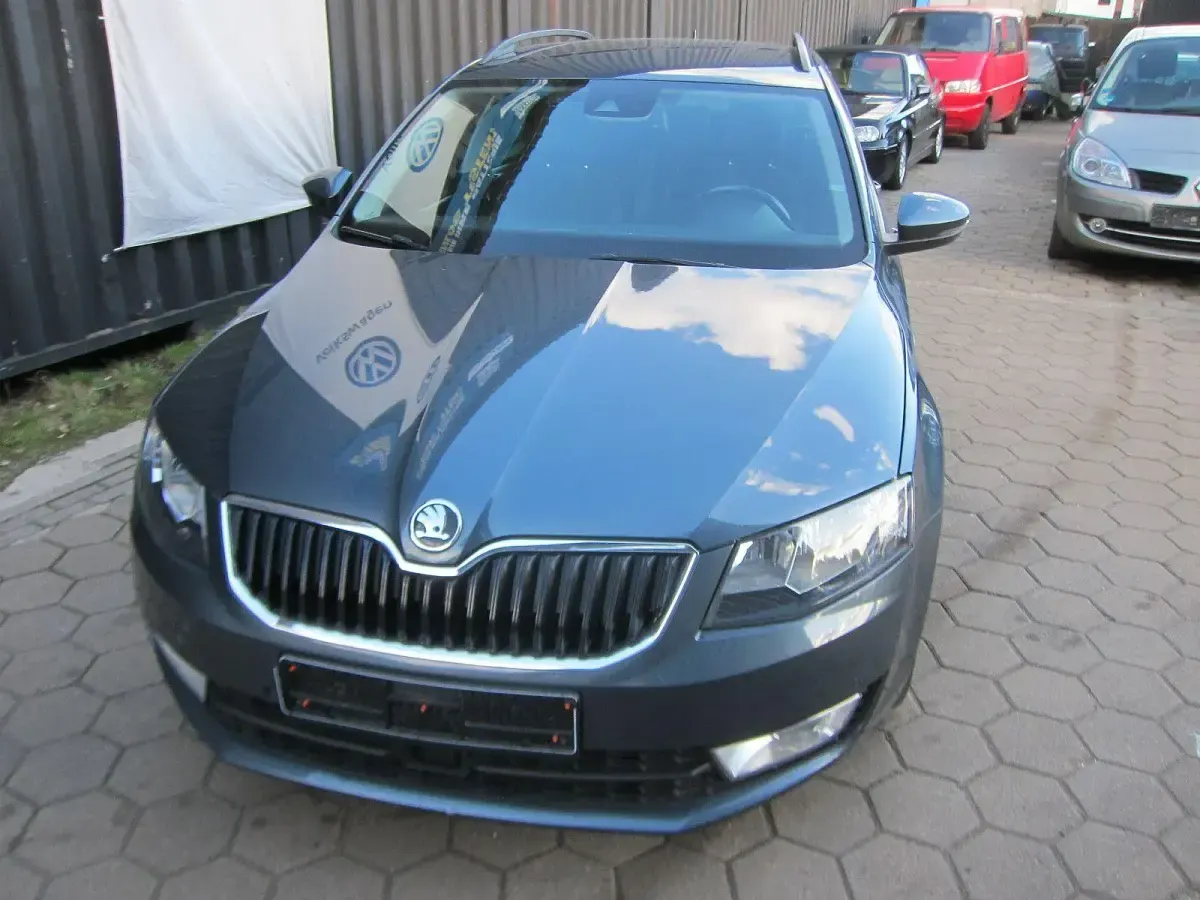 Gebraucht Skoda Octavia 150 PS (110 kW) 2017 Grau Kombi